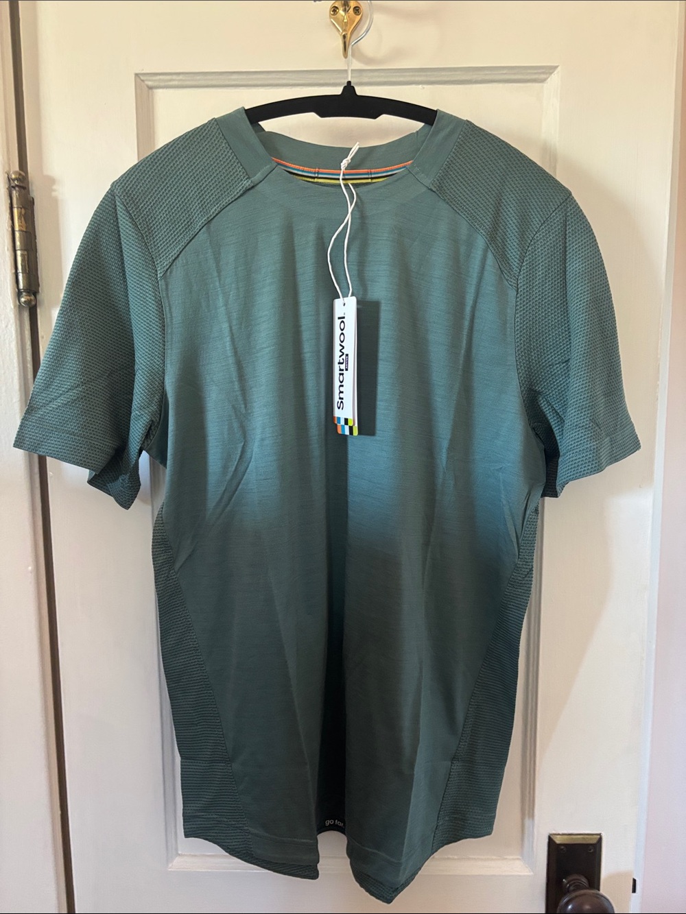 Smartwool Men's Short Sleeve Tee in Dusty Teal